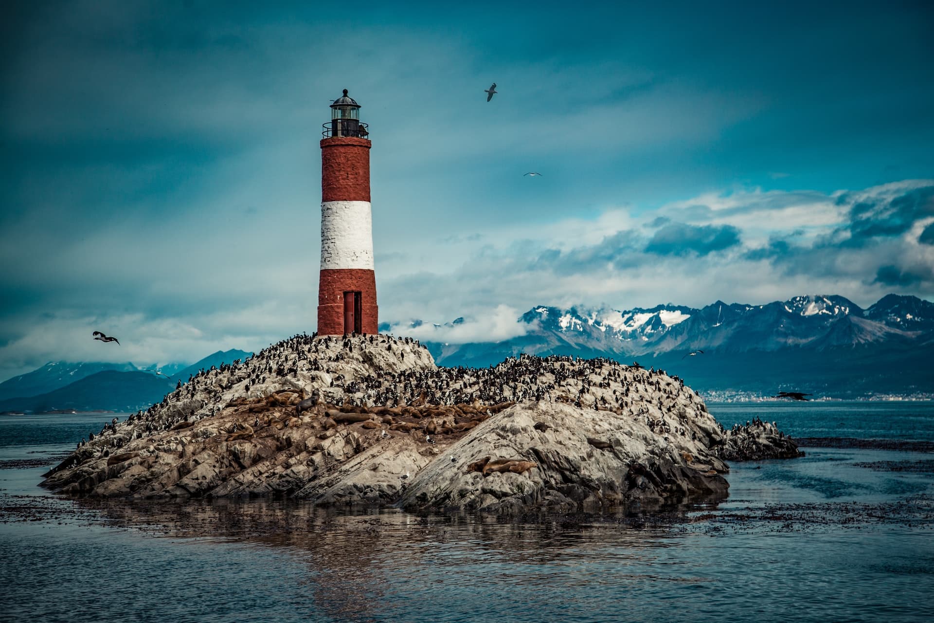 Using Lighthouse to Improve Website Performance